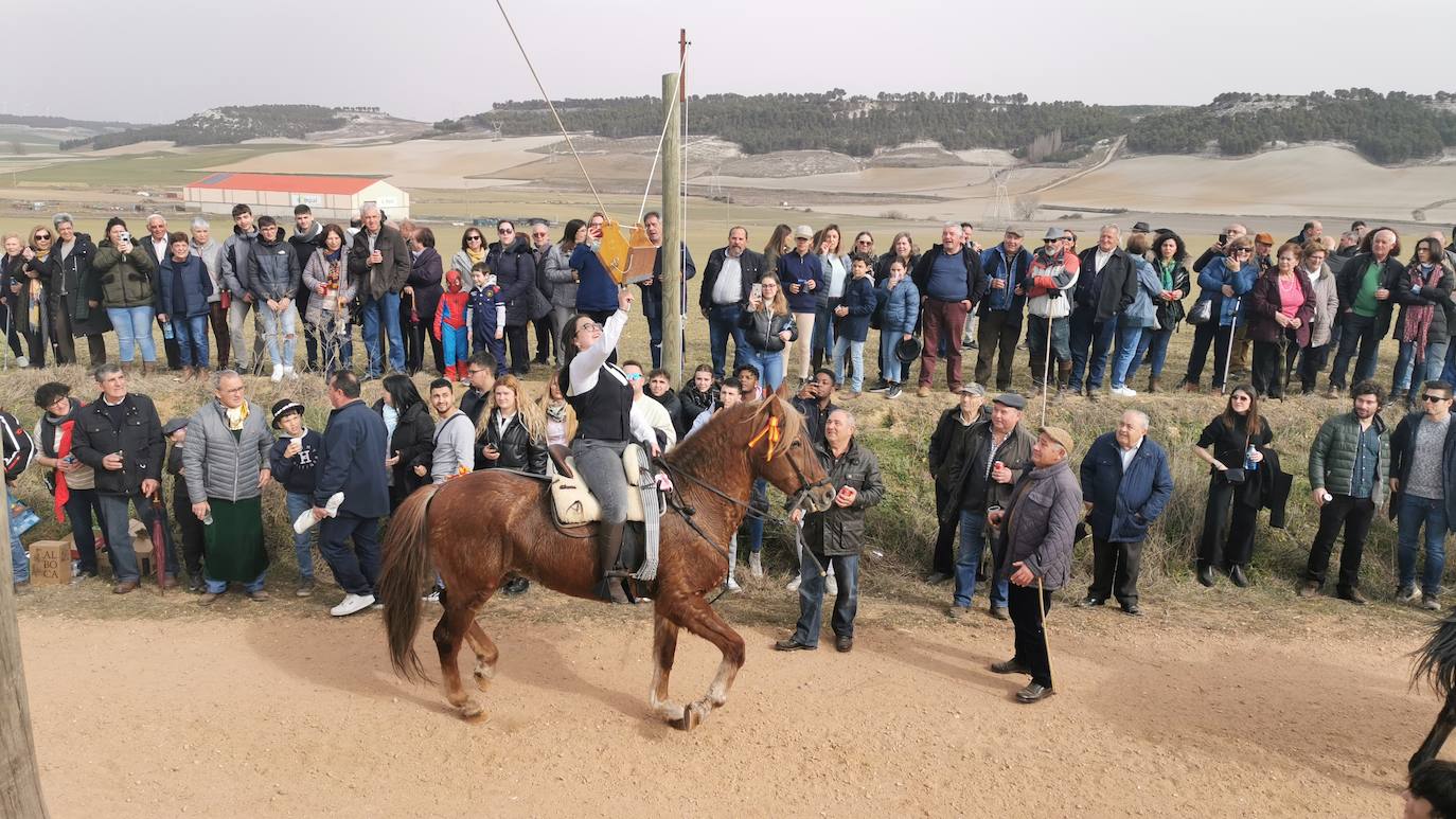 Uno de los quintos de Torrelobatón engancha una cinta con el punzón 