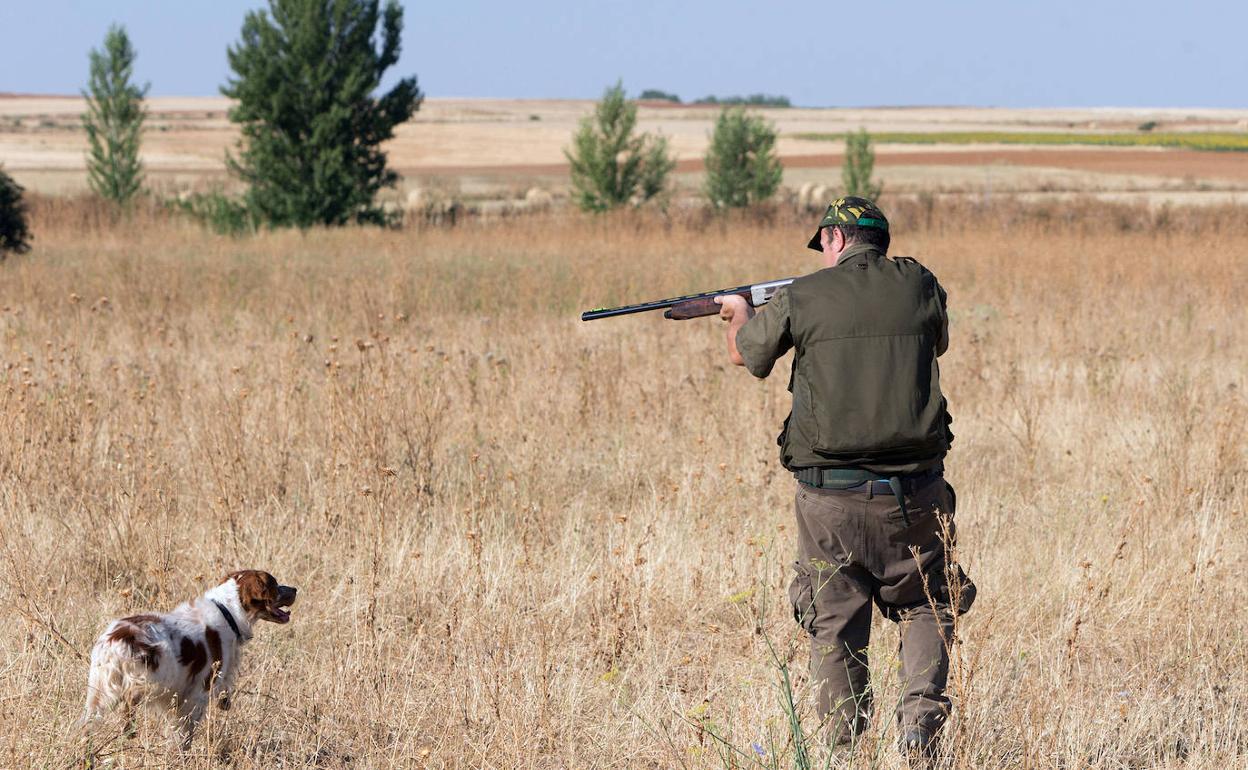 Un cazador, acompañado de su perro, apunta con su escopeta. 