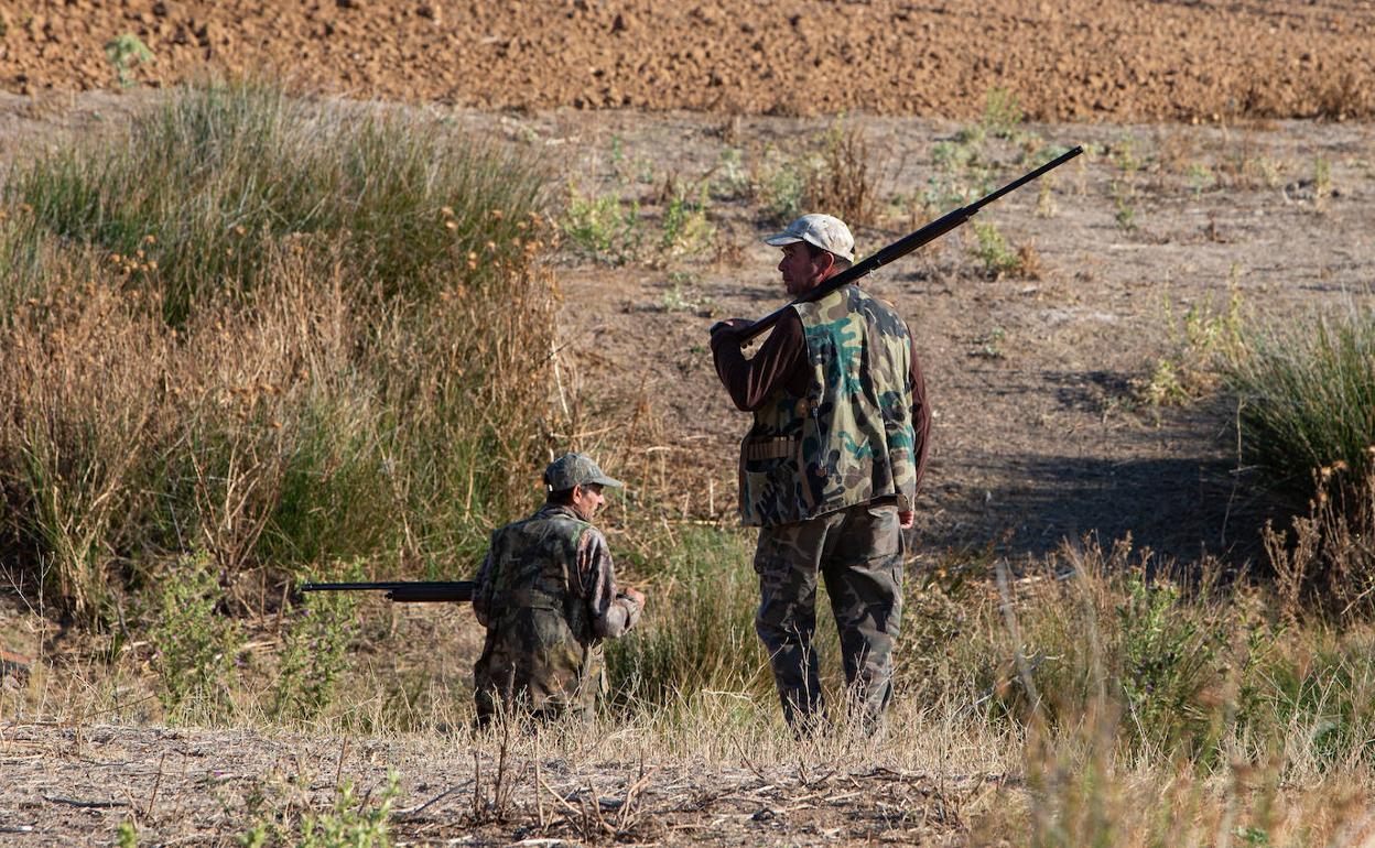 Cazadores recorren con sus escopetas un campo de la región. 
