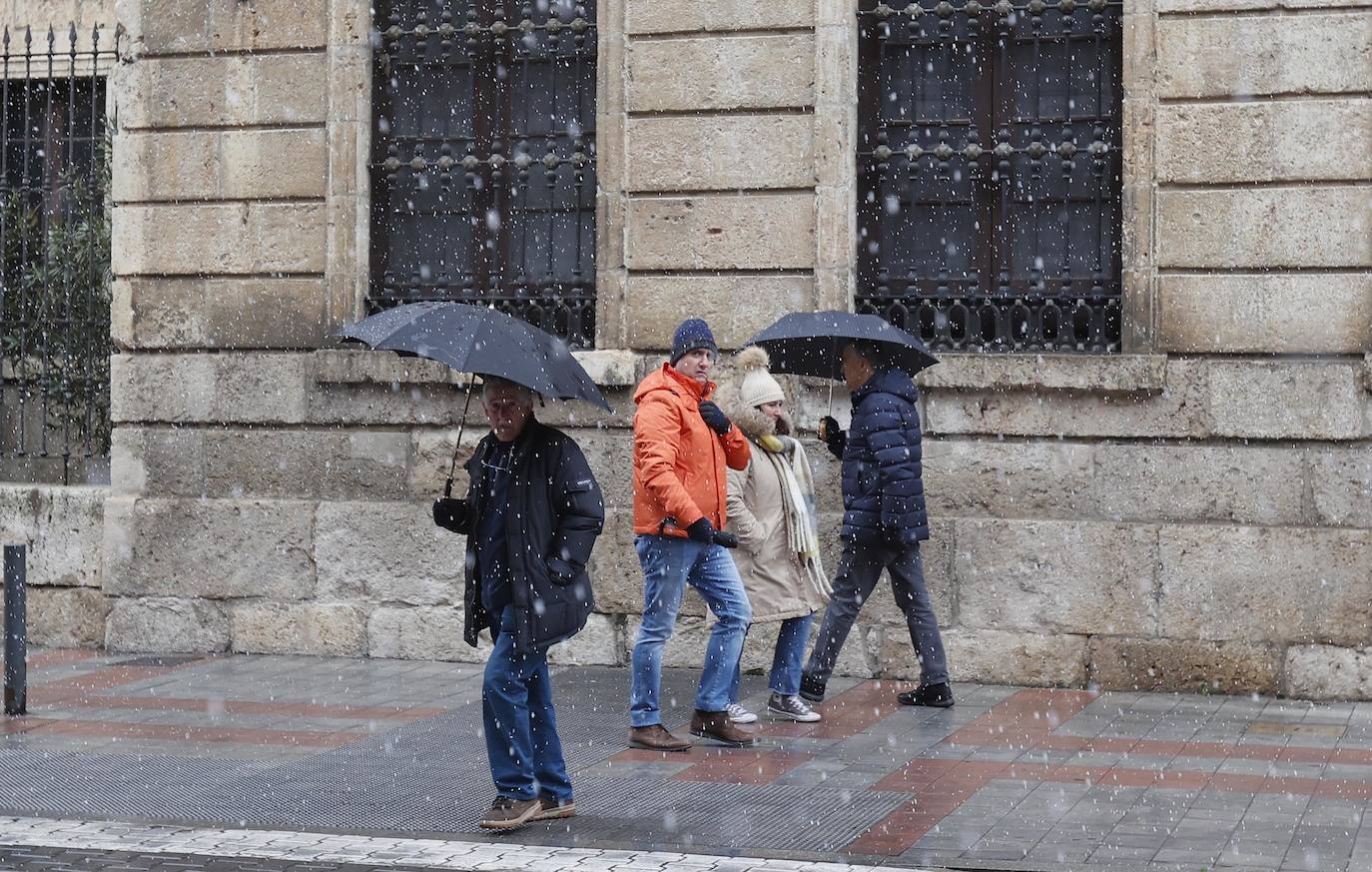 Fotos: La capital palentina recibe intensos copos