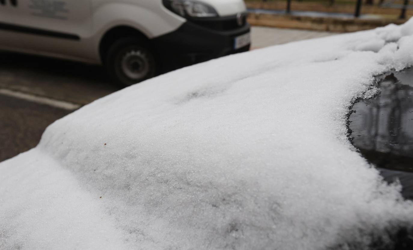 Fotos: La capital palentina recibe intensos copos