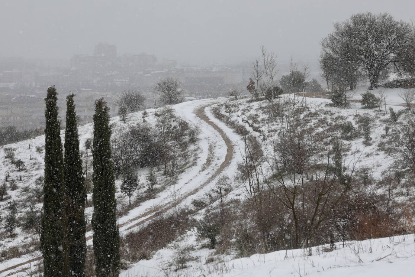 Fotos: Nieva en Valladolid capital