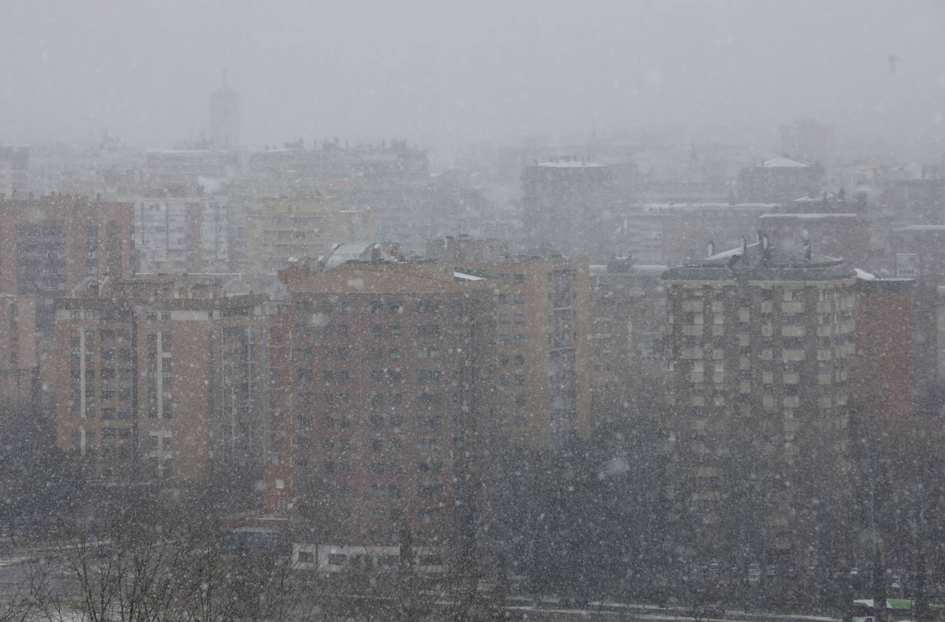 Fotos: Nieva en Valladolid capital