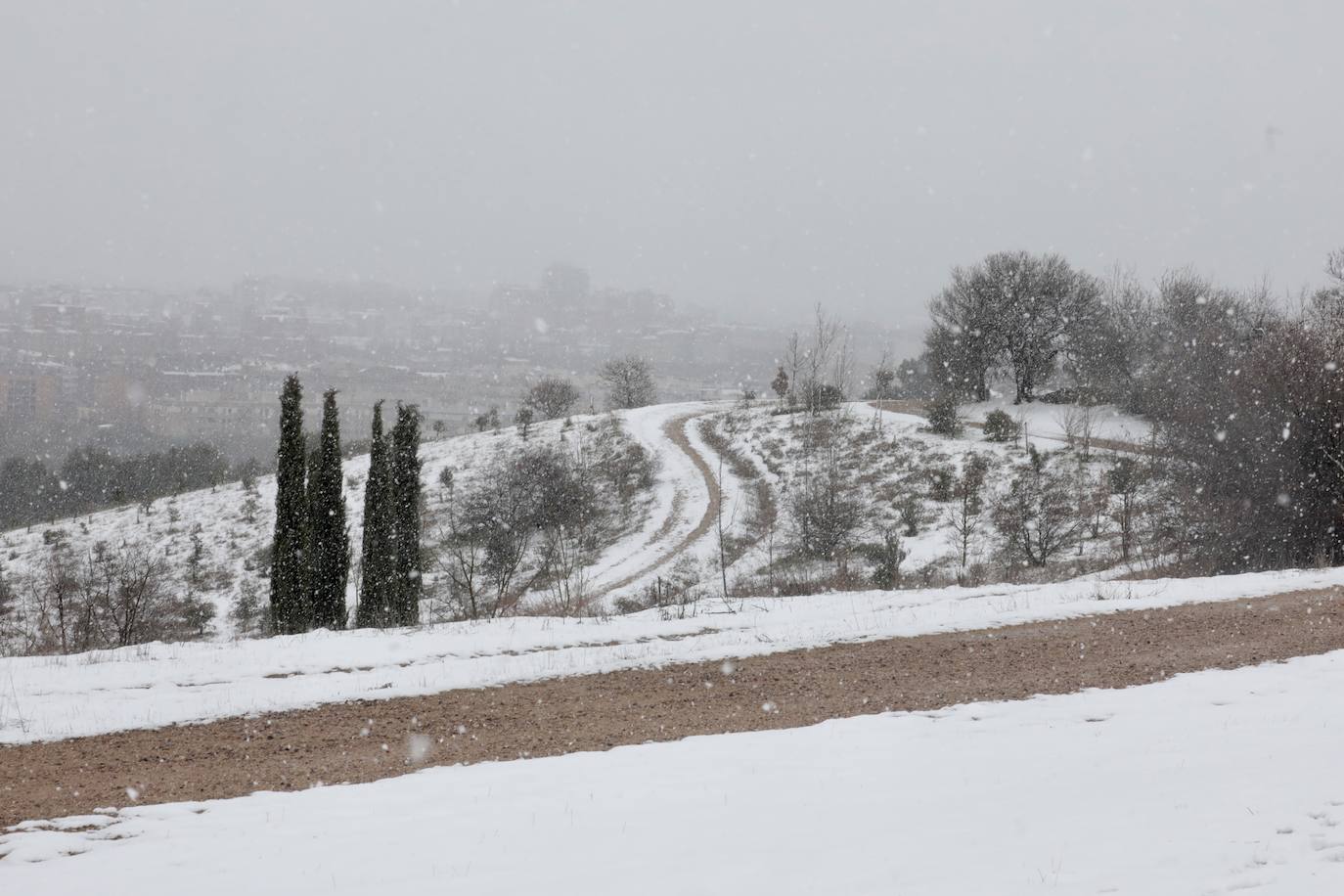 Fotos: Nieva en Valladolid capital