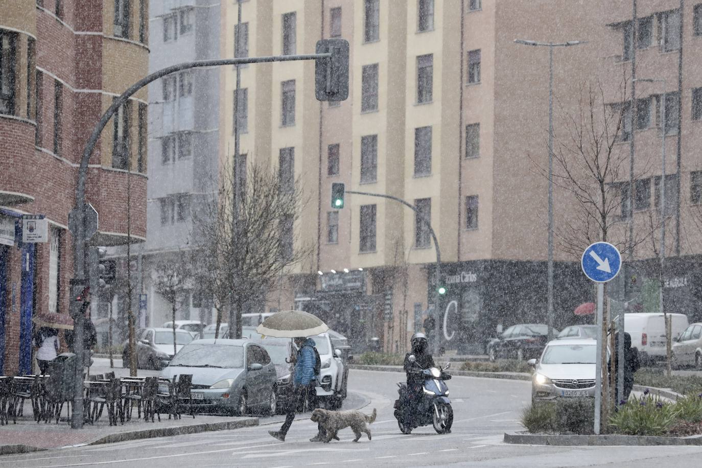 Fotos: Nieva en Valladolid capital