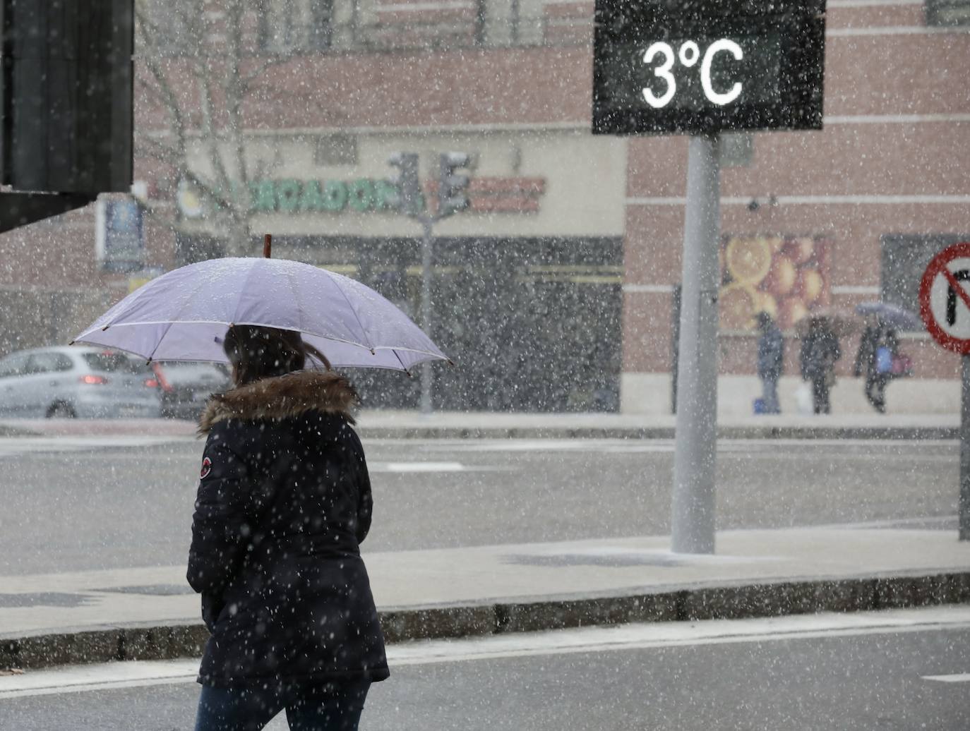 Fotos: Nieva en Valladolid capital