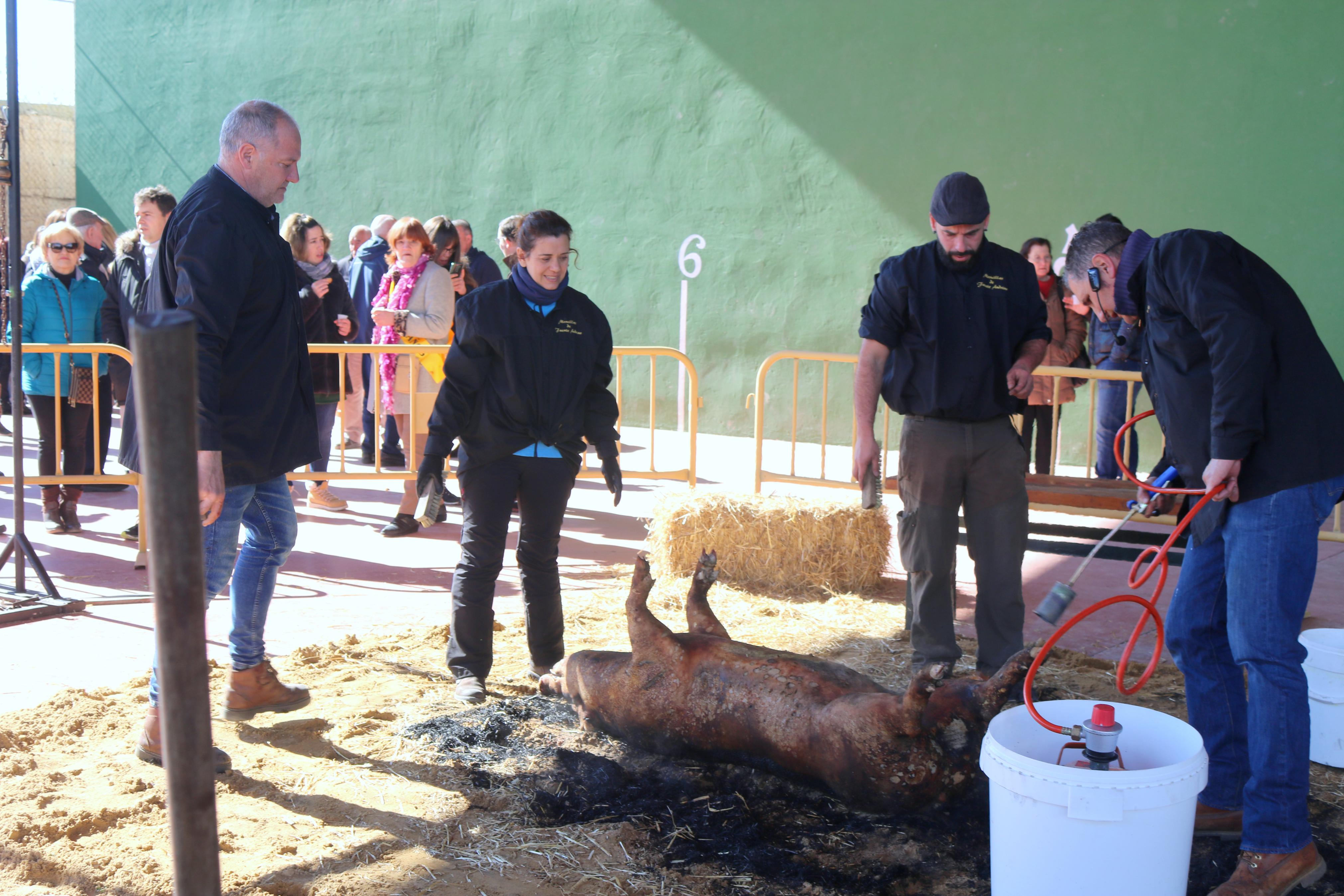 Herrera de Valdecañas celebra una animada Fiesta de la Matanza