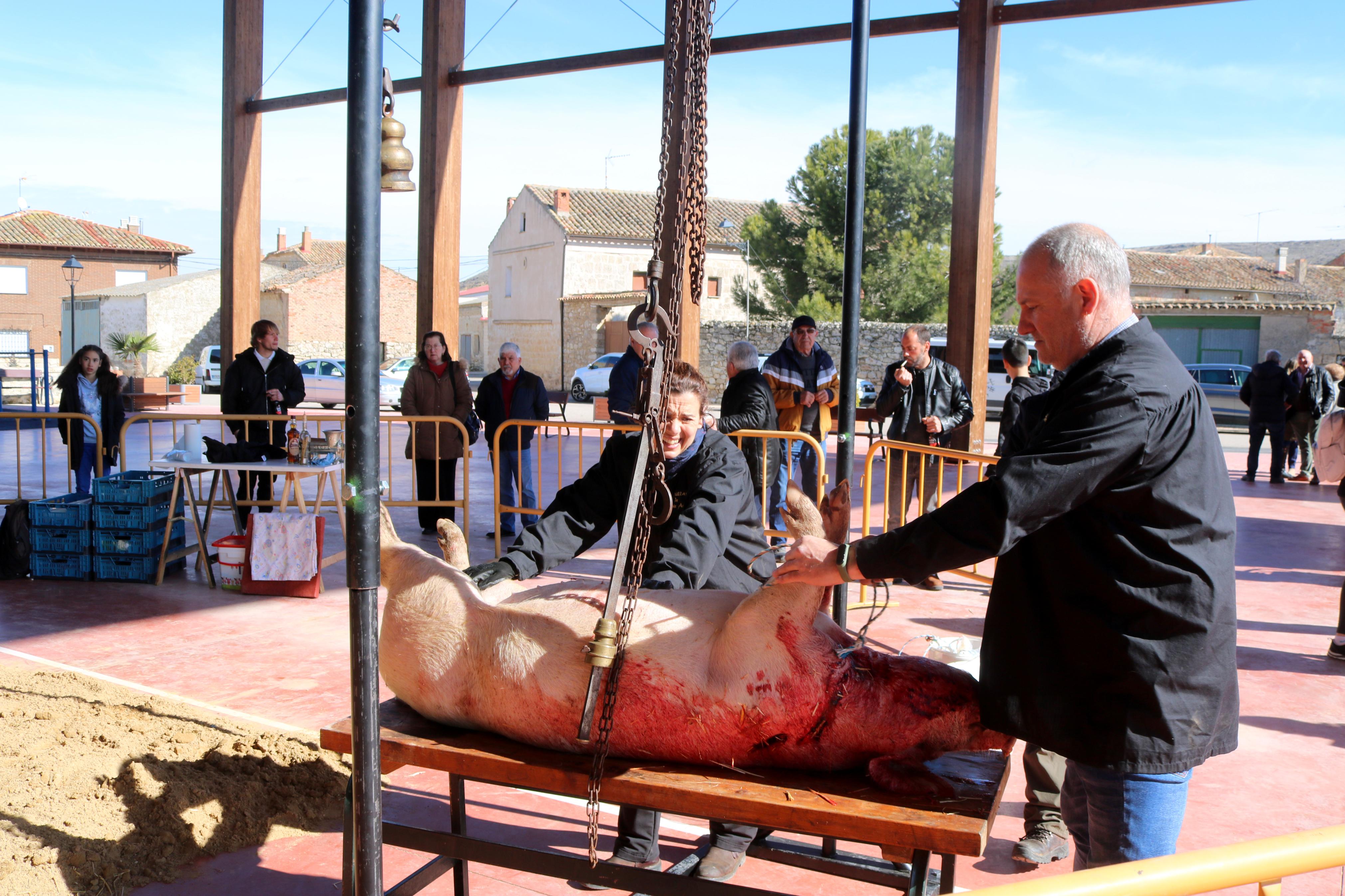 Herrera de Valdecañas celebra una animada Fiesta de la Matanza