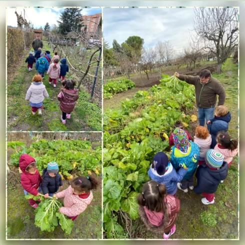 Alumnos, en el huerto escolar. 