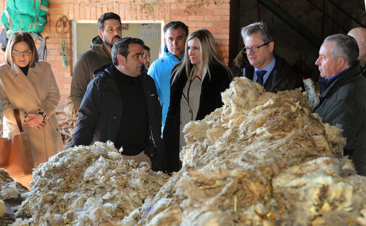 Palencia: La Junta estudia líneas de investigación para valorizar subproductos de la lana