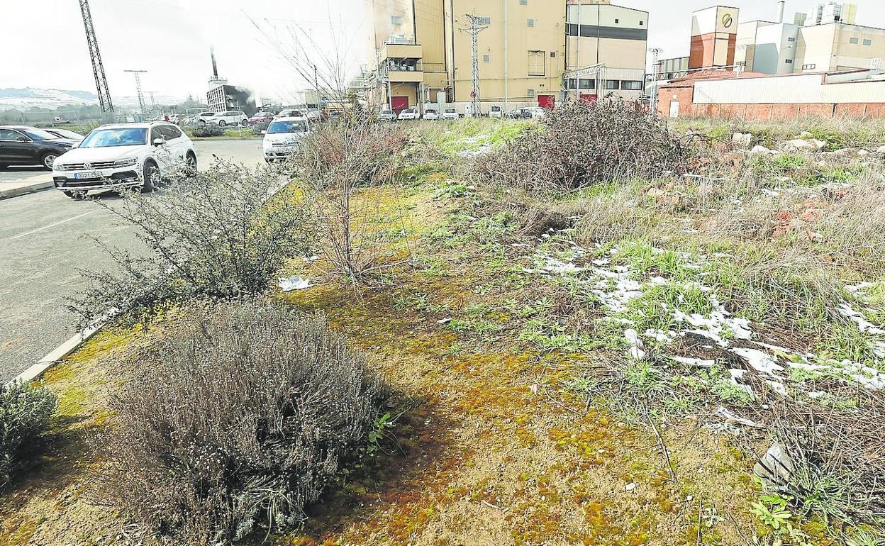 Terrenos adyacentes al nuevo aparcamiento del Hospital Río Carrión, donde se va a construir la unidad satélite de radioterapia. 