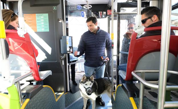 Imagen principal - Picando la tarjeta, esperando al bus y luciendo su nuevo bono canino.