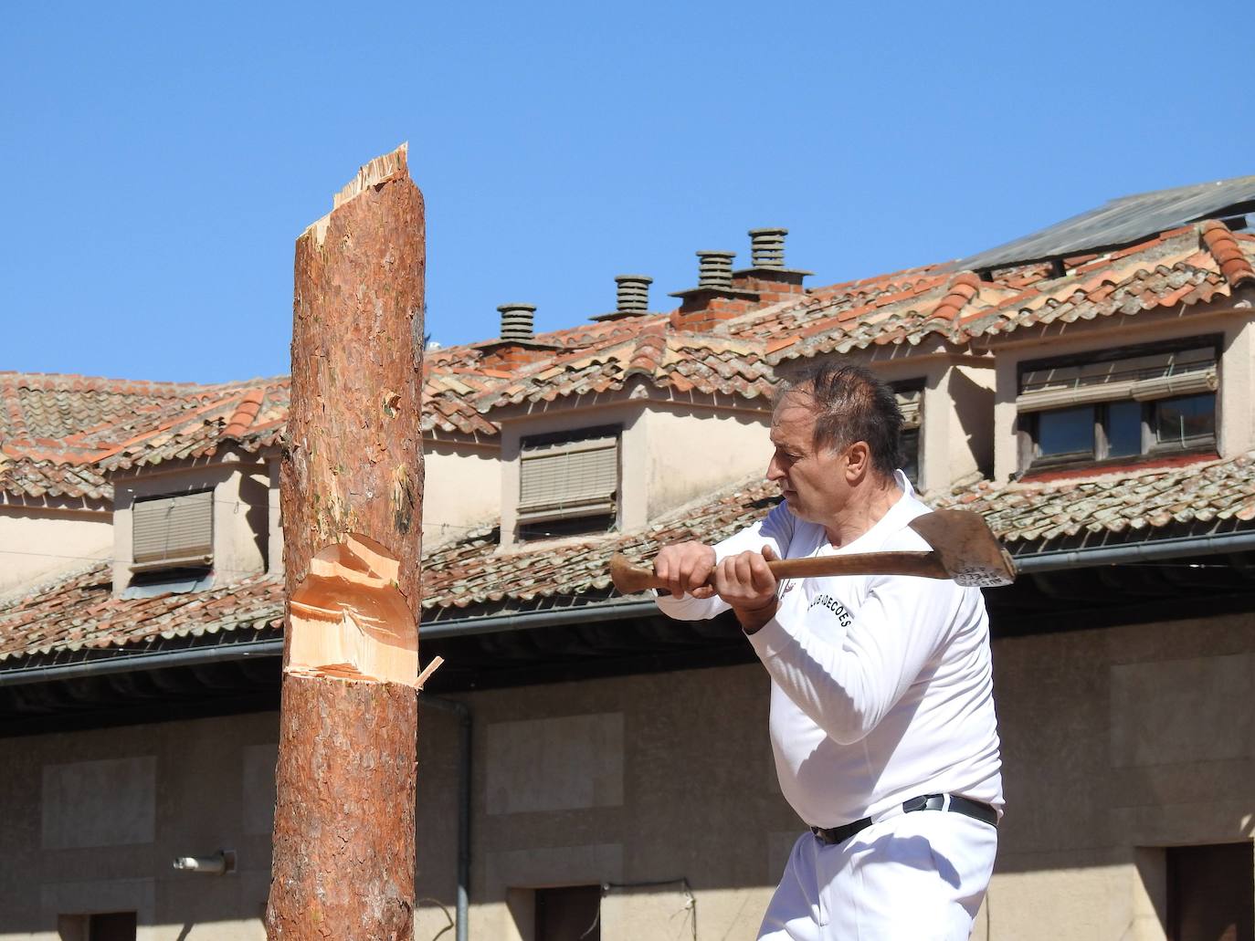 Fiesta de los gabarreros en Riaza