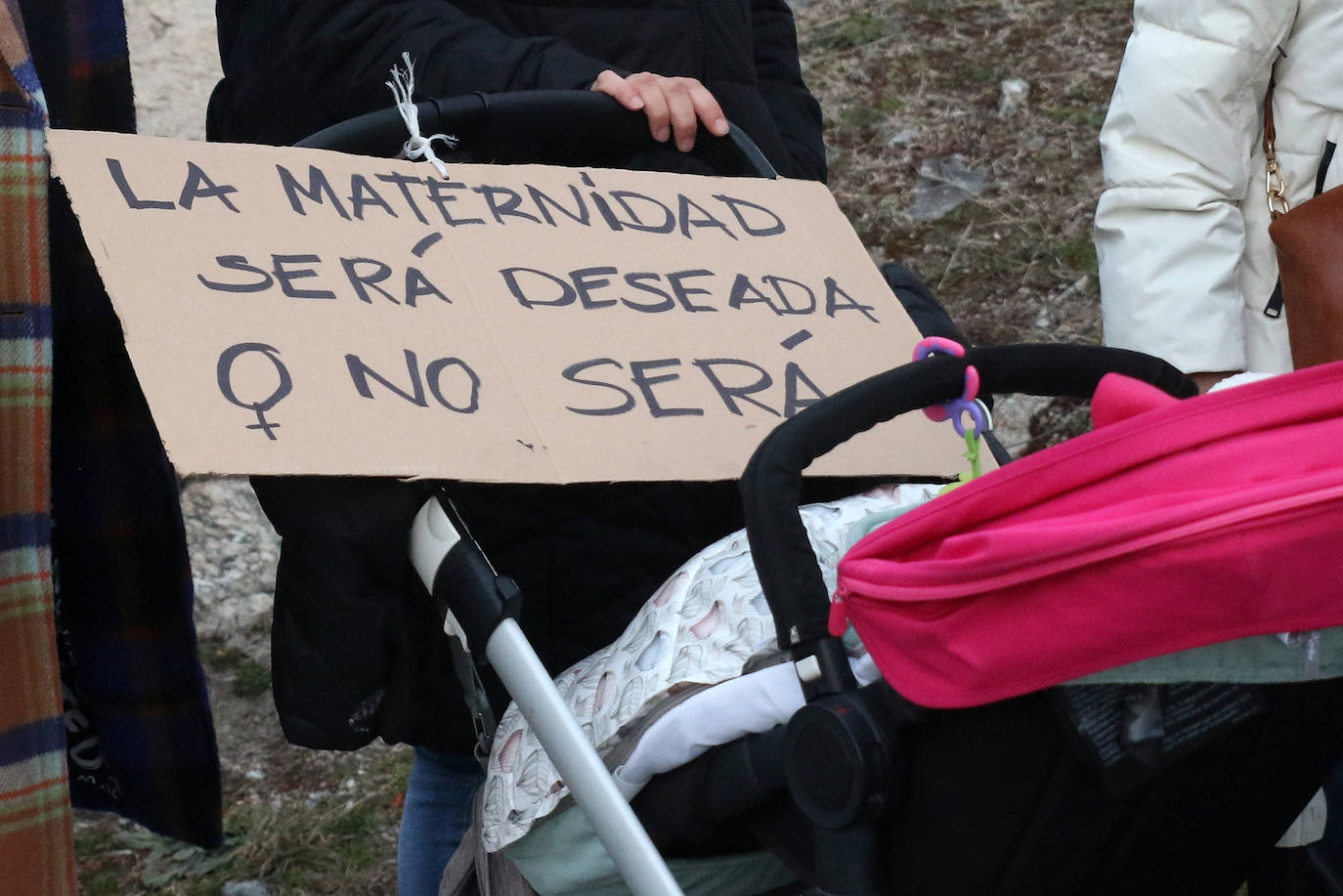 Manifestación del Día de la Mujer en Segovia. 