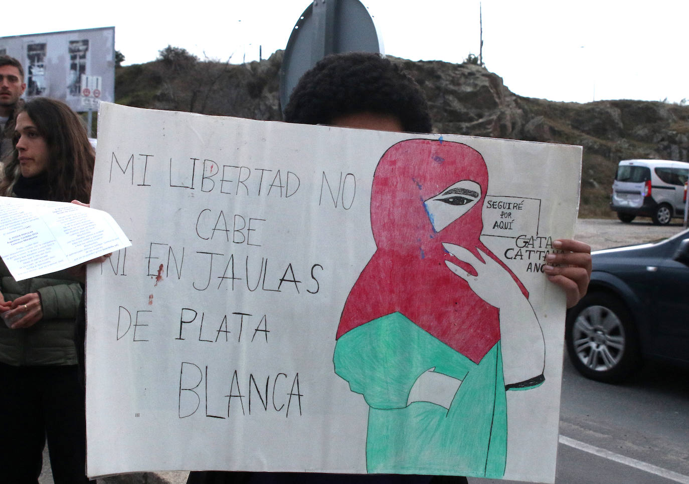 Manifestación del Día de la Mujer en Segovia. 