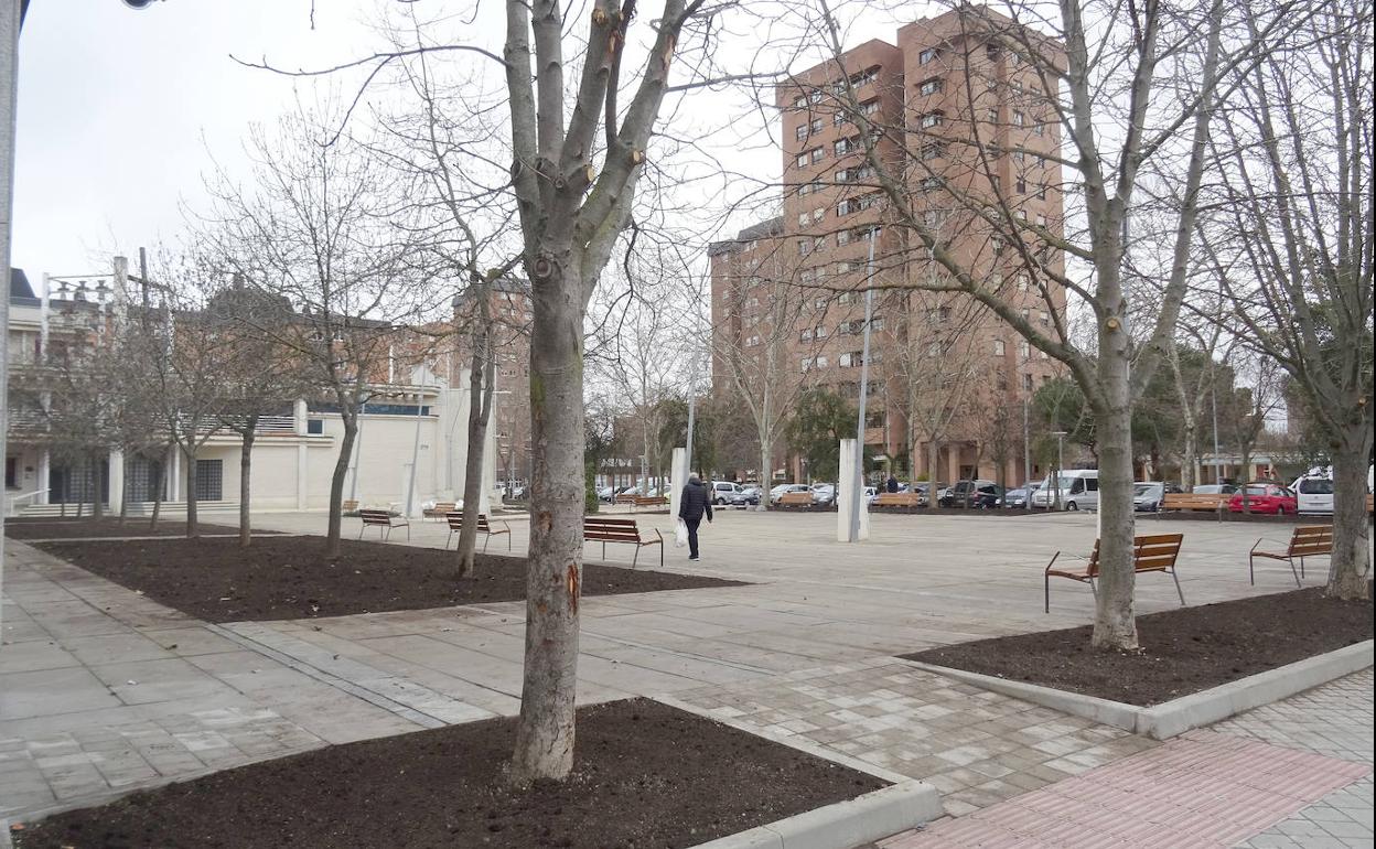 Nuevos alcorques y bancos en la plaza de la Siega de Huerta del Rey. 