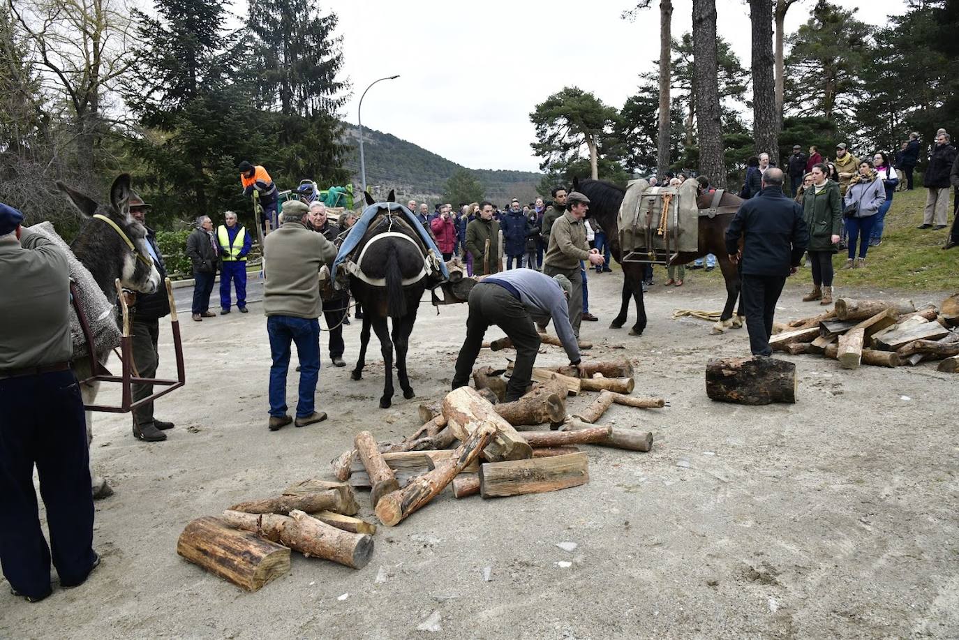 Fin de semana gabarrero en El Espinar. 