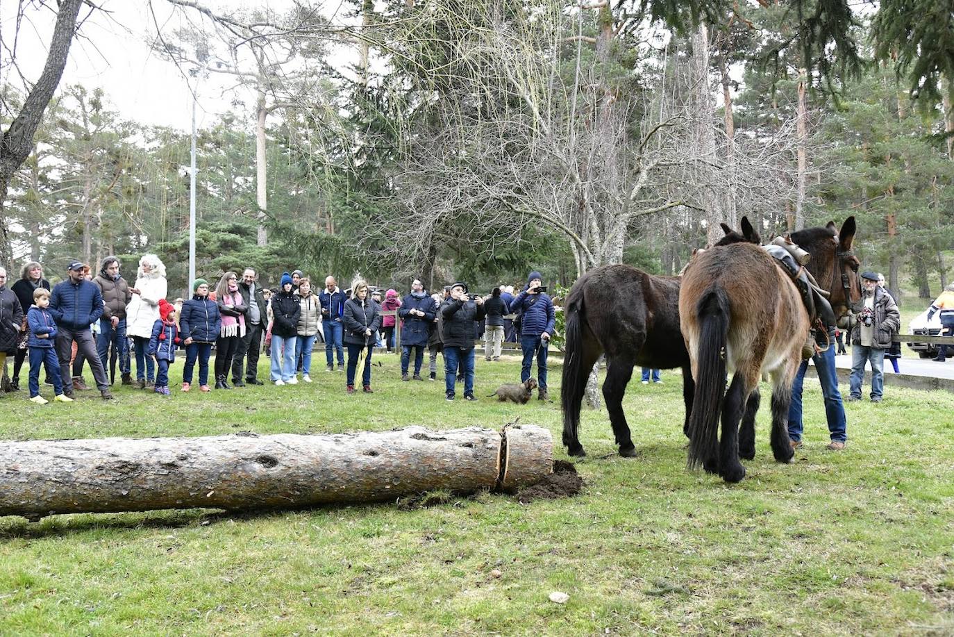 Fin de semana gabarrero en El Espinar. 