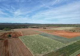 Vista aérea de varias parcelas.