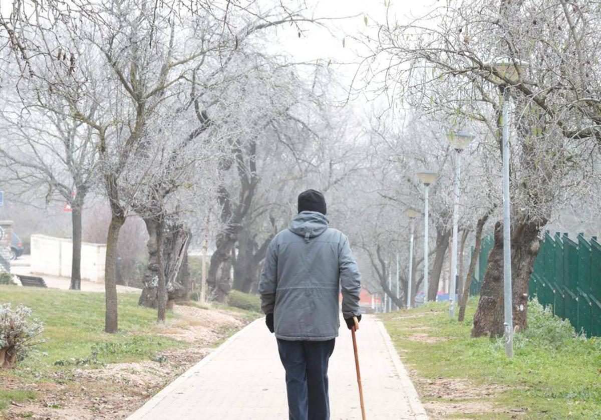 Cencellada en Parquesol el 27 de diciembre.