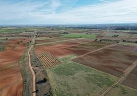 Diversas parcelas en la provincia de Burgos.