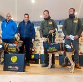 Eliminada la primera perra de la región en octavos del Campeonato de España de Galgos