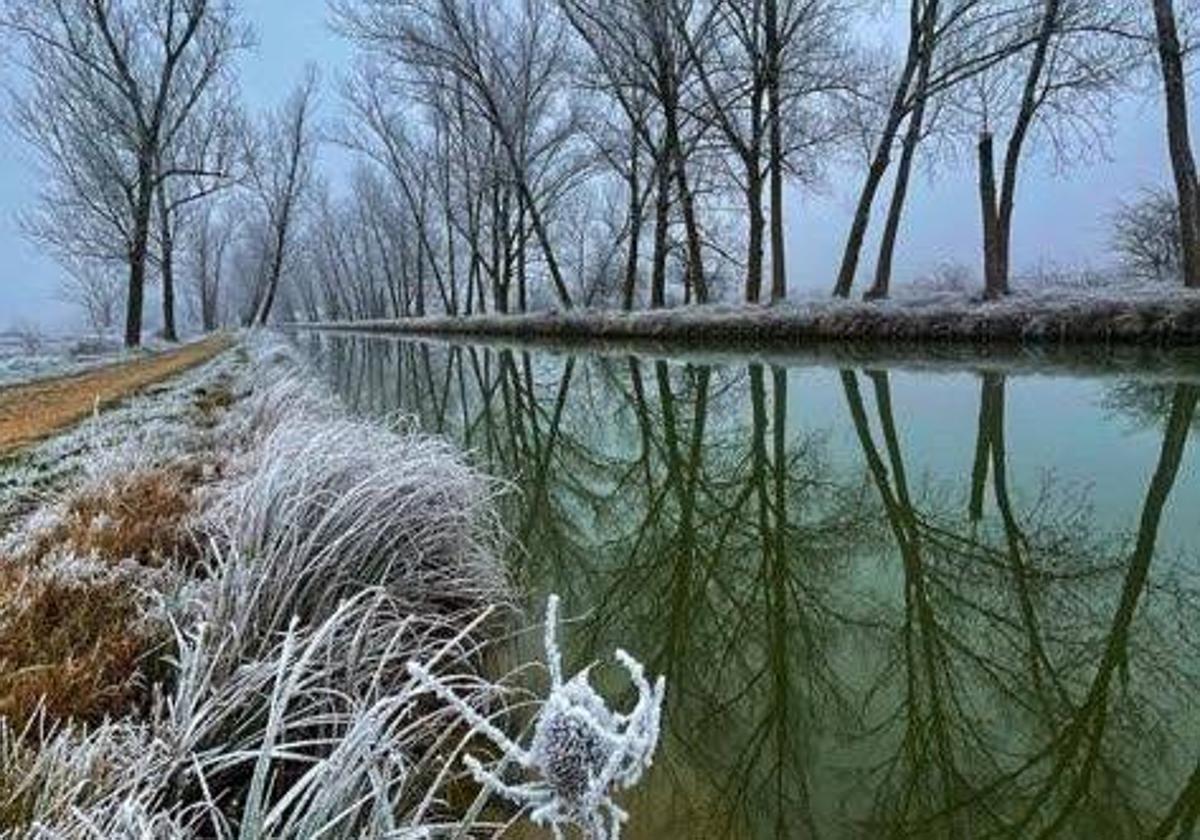 Cencellada en el Canal de Castilla a su paso por Medina de Rioseco a finales de diciembre.