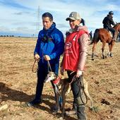 Dos galgas de la región, en cuartos de final del Campeonato de España