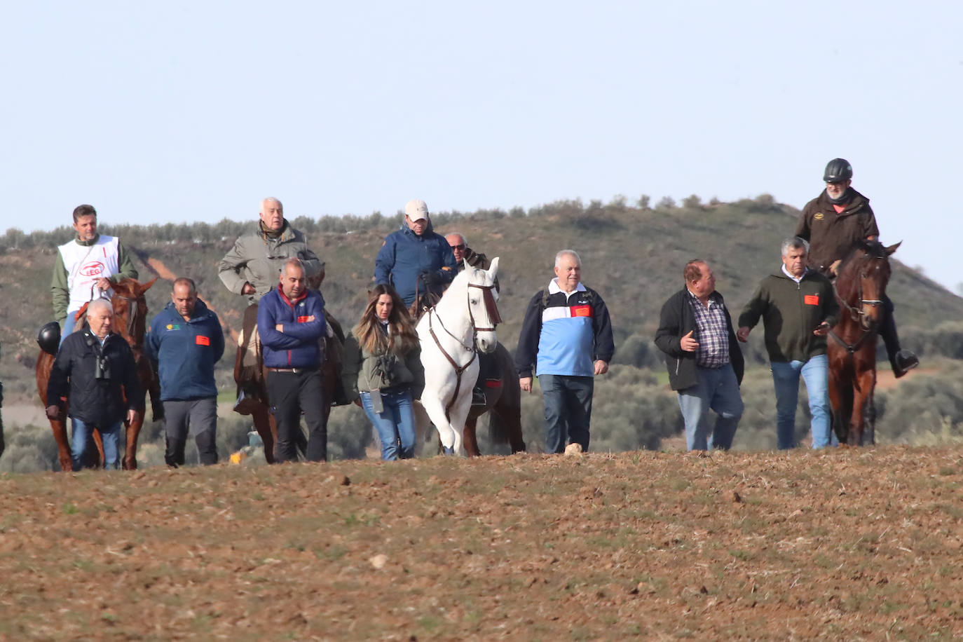 La segunda jornada de octavos del Campeonato de España de Galgos, en imágenes