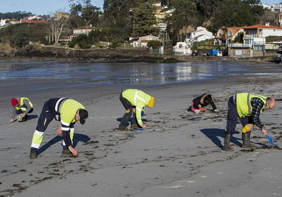 Eecogida de 'pellets' de plástico en la Playa de A Madorra en Nigrán (Pontevedra).