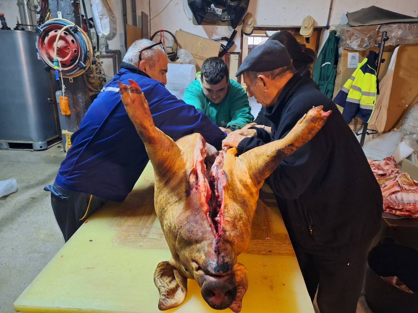 La matanza tradicional del cerdo de una familia de Rioseco, en imágenes