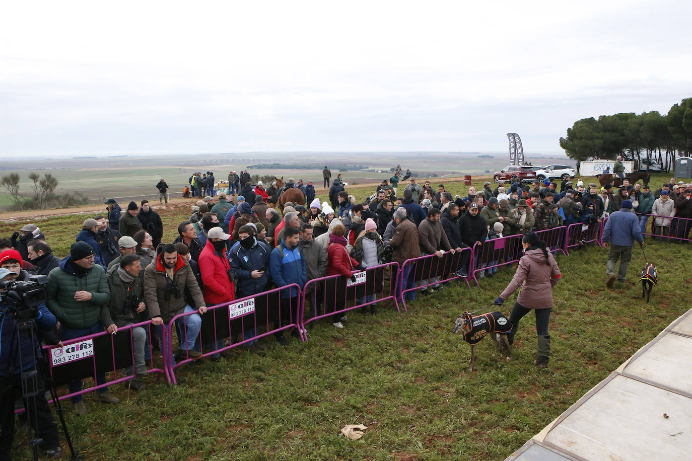La primera jornada de cuartos de final del Campeonato Nacional de Galgos, en imágenes