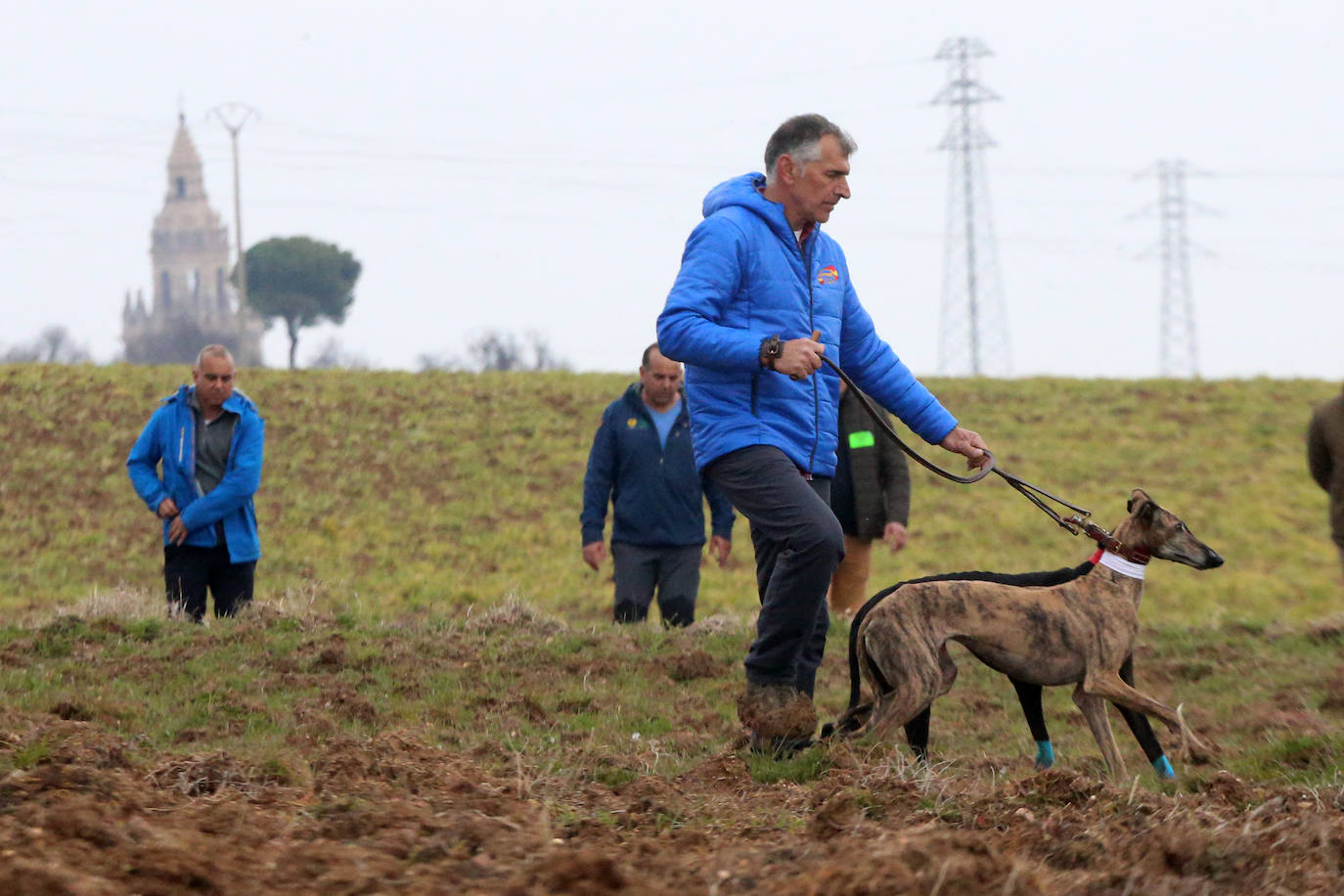La primera jornada de cuartos de final del Campeonato Nacional de Galgos, en imágenes