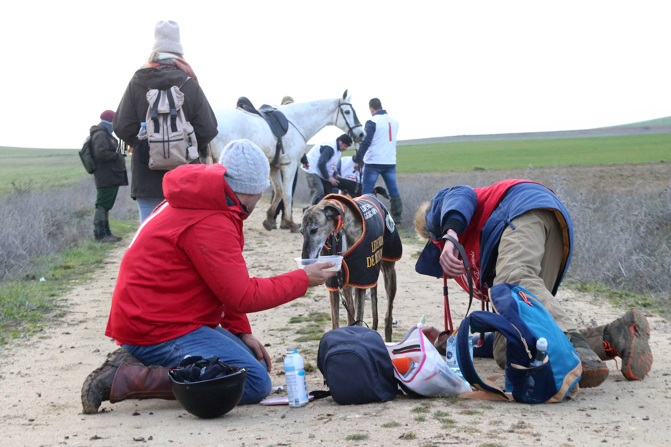 La primera jornada de cuartos de final del Campeonato Nacional de Galgos, en imágenes