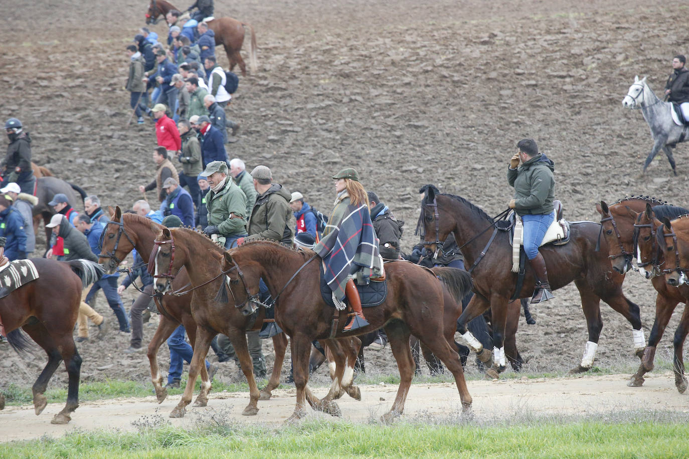 La primera jornada de cuartos de final del Campeonato Nacional de Galgos, en imágenes