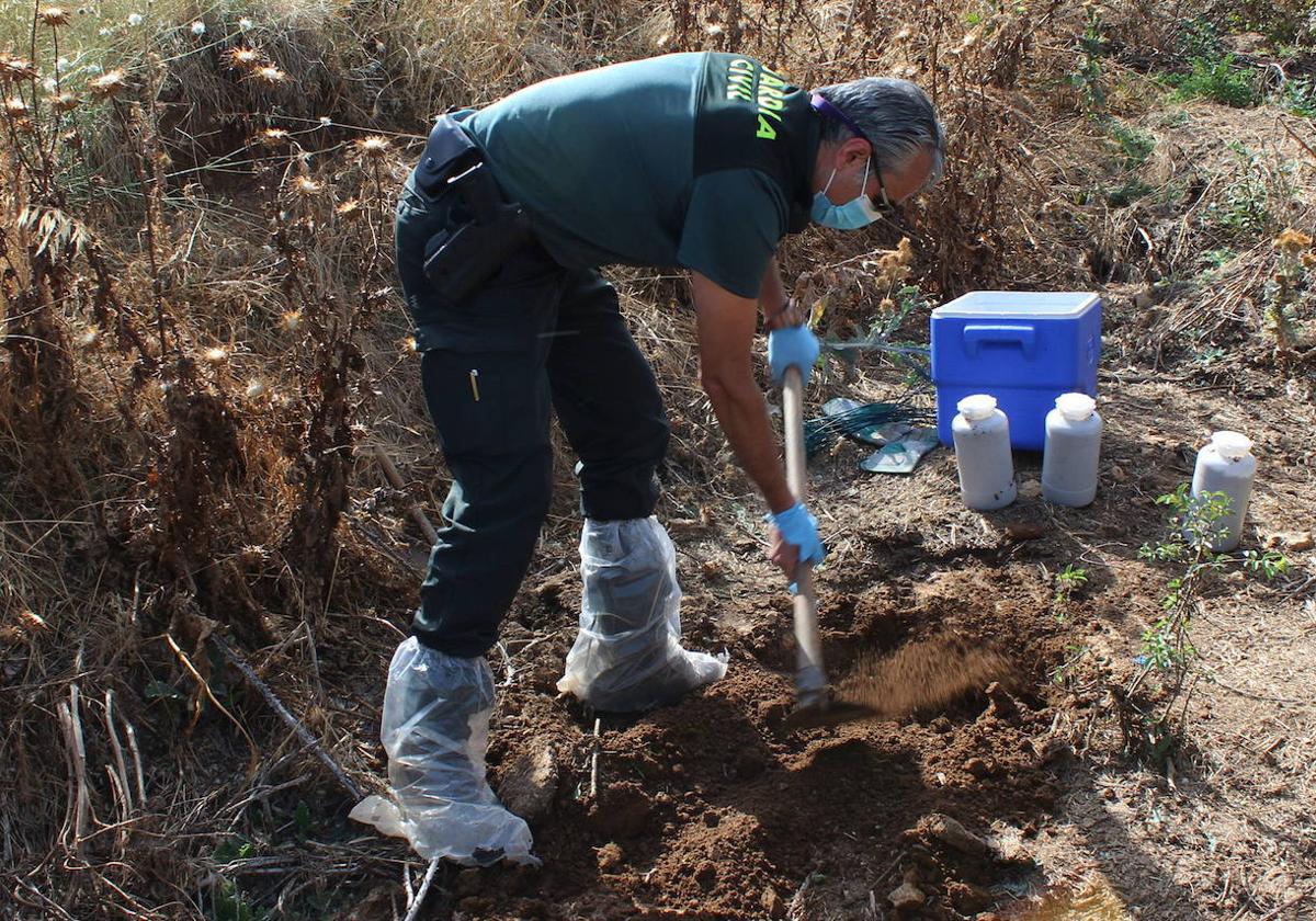 Un agente de la Guardia Civil investiga un vertido incontrolado de purines hace cuatro años en la provincia de Segovia.