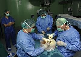 Liderazgo en solidaridad