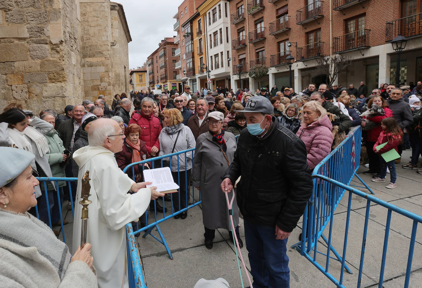 Las mascotas reciben la bendición de San Antón en la iglesia de San Miguel