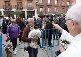 Las mascotas reciben la bendición de San Antón en la iglesia de San Miguel