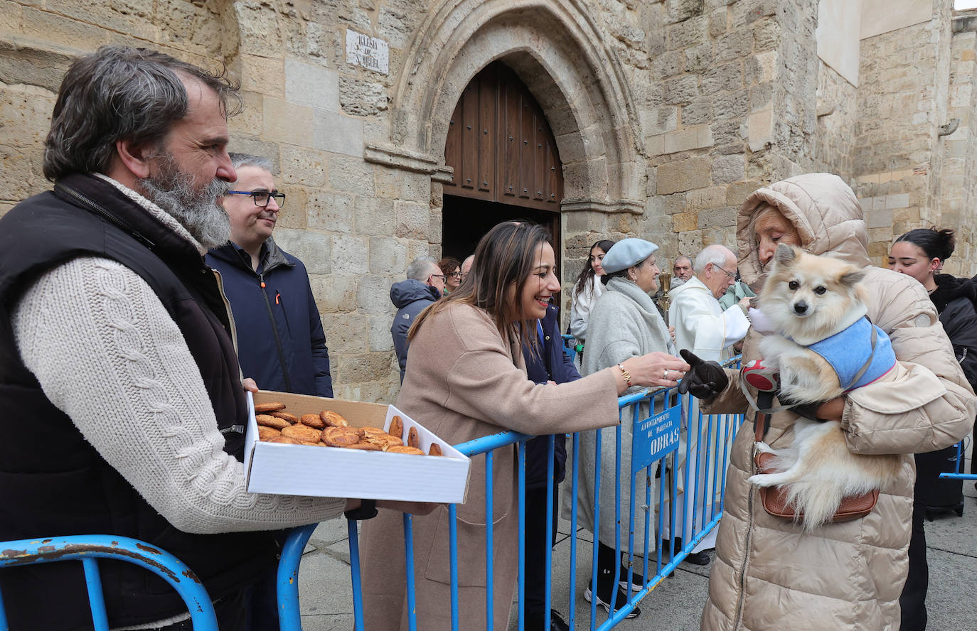 Las mascotas reciben la bendición de San Antón en la iglesia de San Miguel