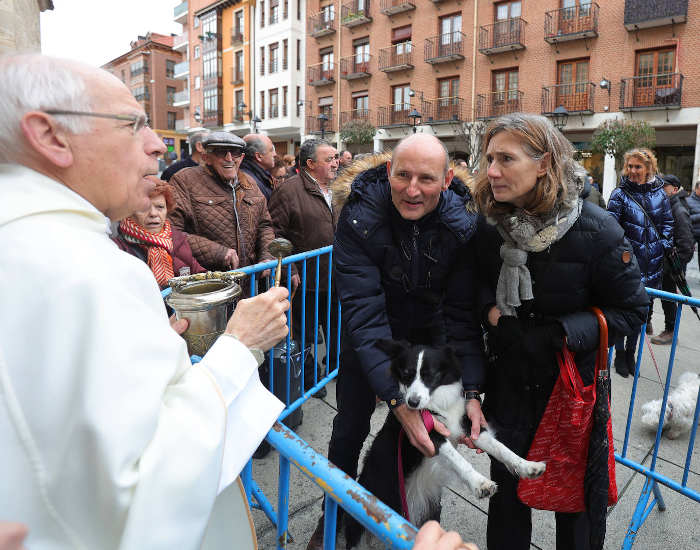 Las mascotas reciben la bendición de San Antón en la iglesia de San Miguel