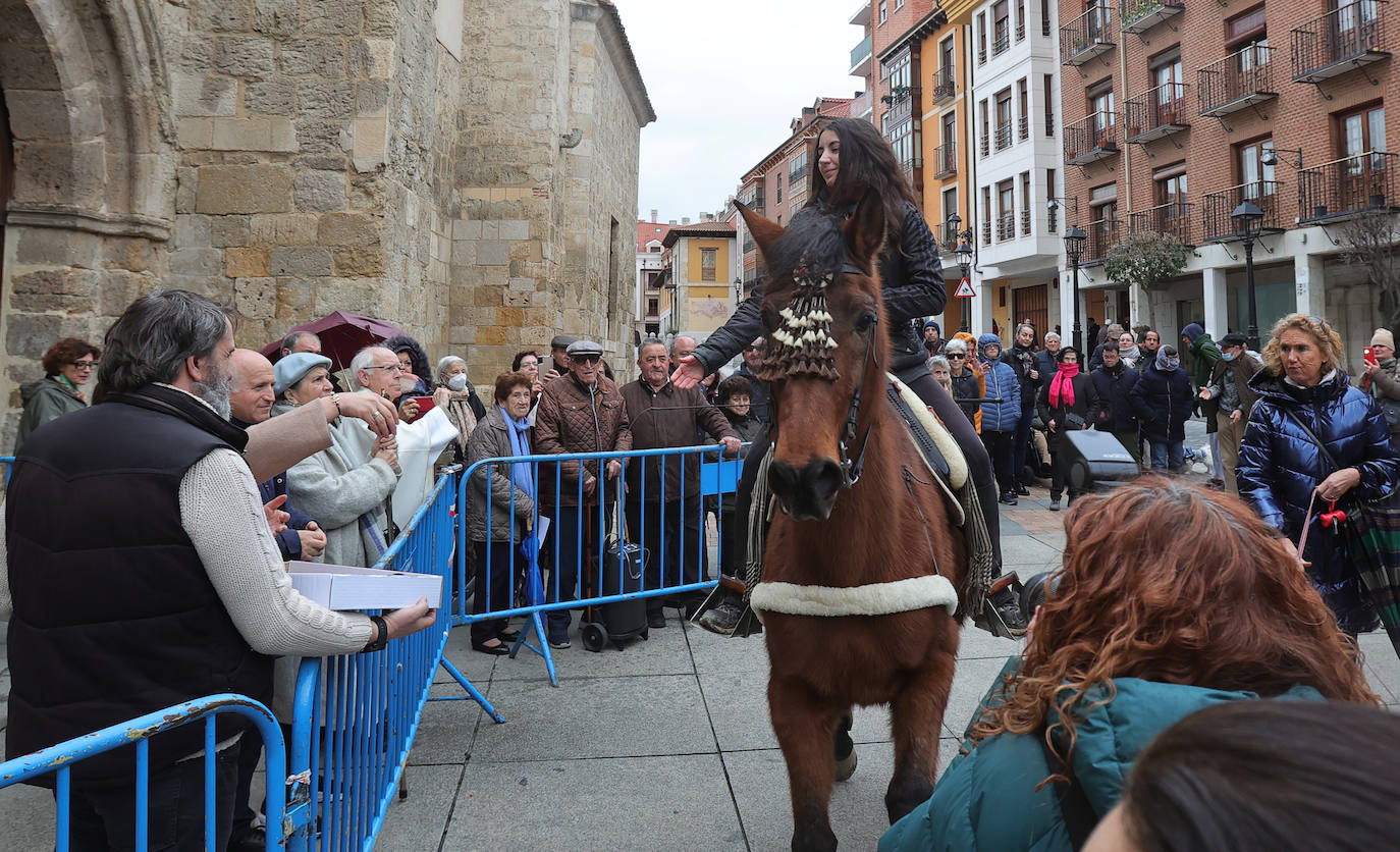 Las mascotas reciben la bendición de San Antón en la iglesia de San Miguel