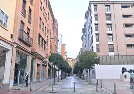Calle Peral, en los entornos de la plaza de toros de Valladolid, donde tuvo lugar la detención.