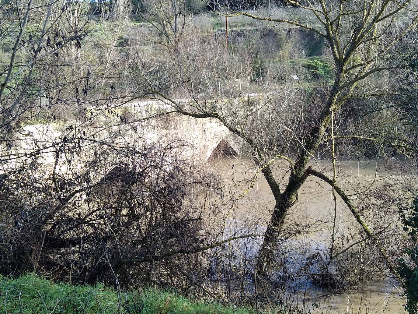 Puente entre Hornillos de Eresma y Alcazarén.