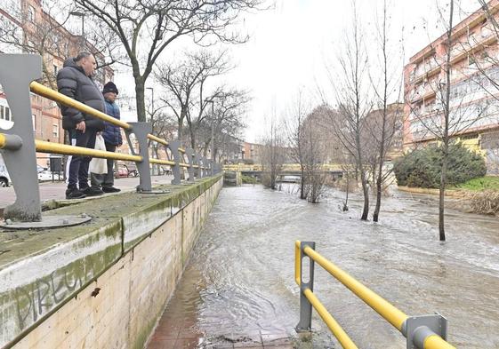 El Esgueva anega sus paseos inferiores y casi llena su cauce entre Pilarica y Pajarillos.
