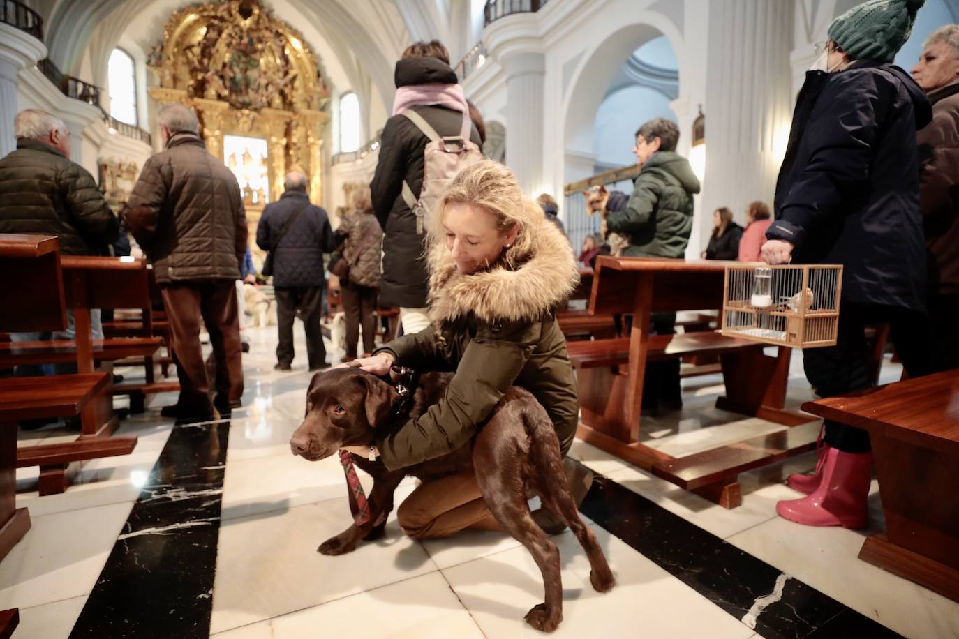 Feligreses y animales en el interior de la iglesia.