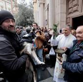 Perros y gastos bendecidos por San Antón