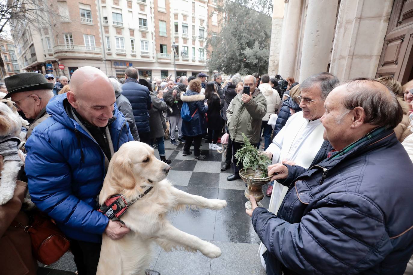 El párroco de la iglesia del Salvador bendice un perro a las puertas del templo.