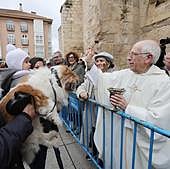 Las mascotas piden protección a San Antón