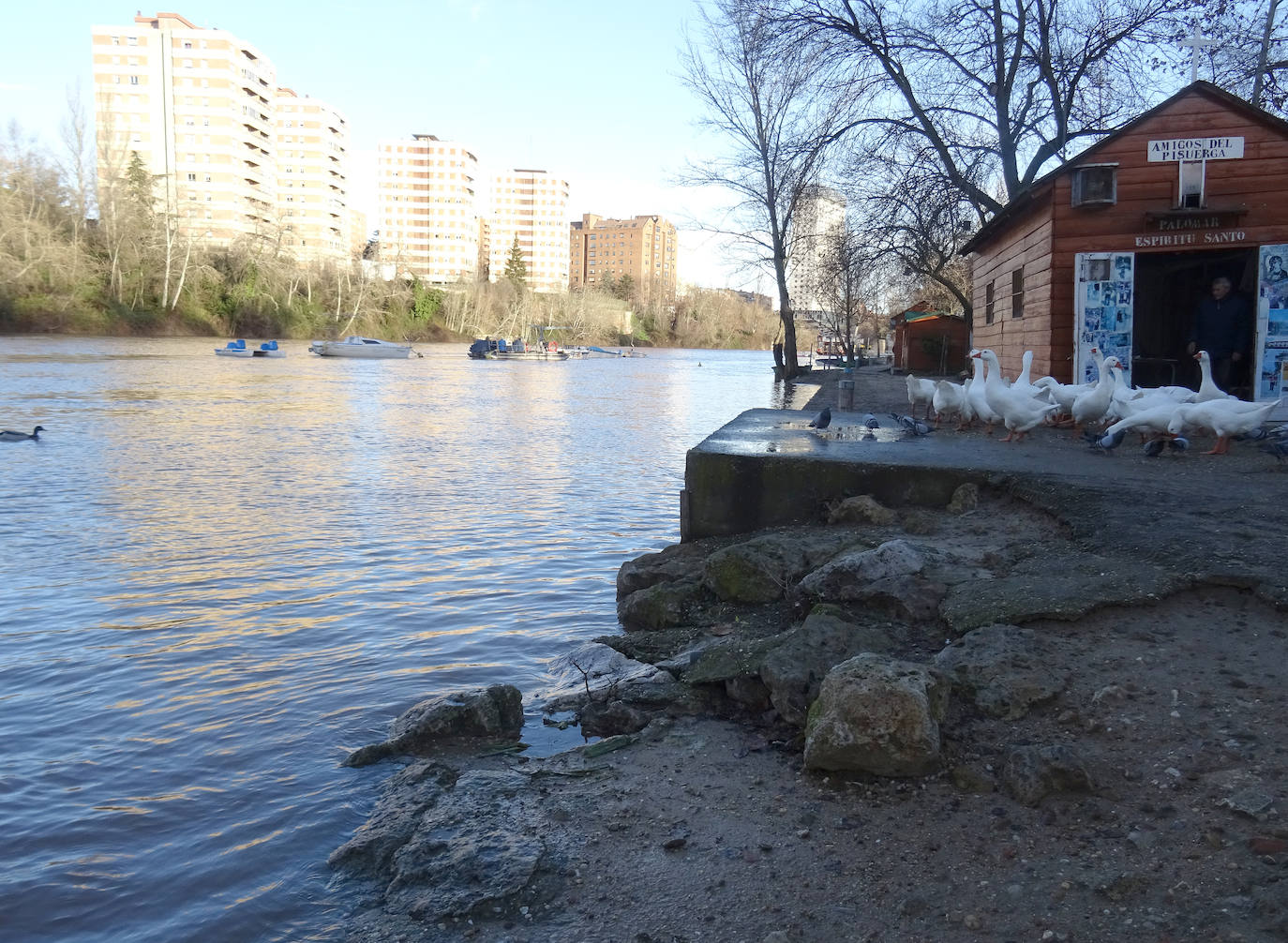 El Pisuerga a su paso por el puente de Poniente.